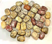 Load image into Gallery viewer, TUMBLED Leopard Skin Jasper AKA Leopardite
