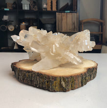 Load image into Gallery viewer, Himalayan Quartz Cluster from India

